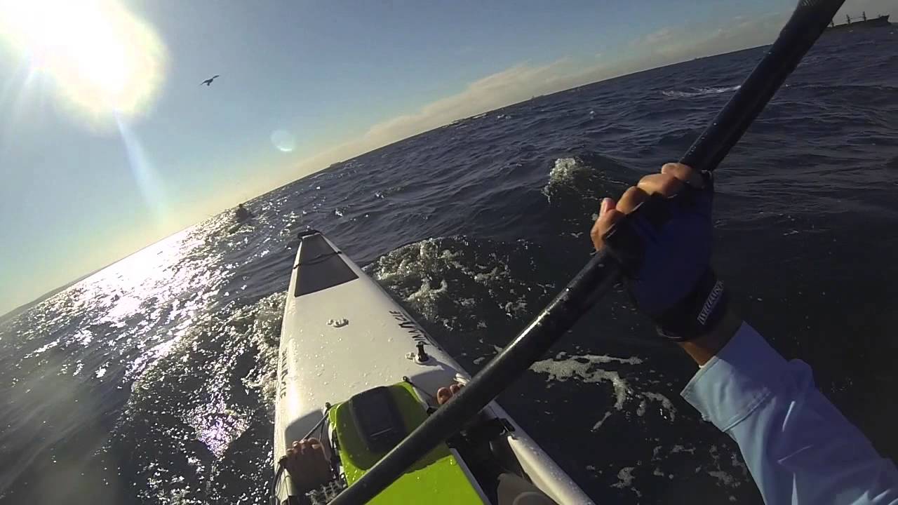 Paddleski fishing Durban for tuna- Angler :Jason Pretorius