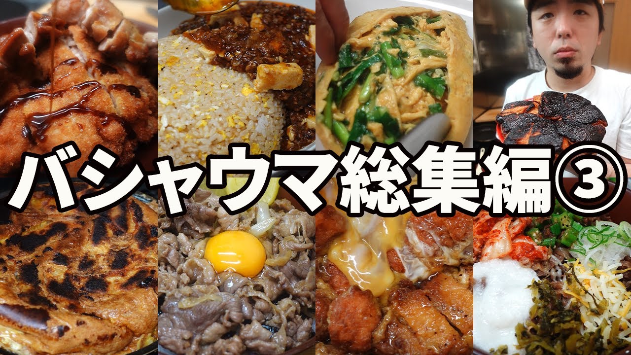 バシャウマ自炊日記総集編③