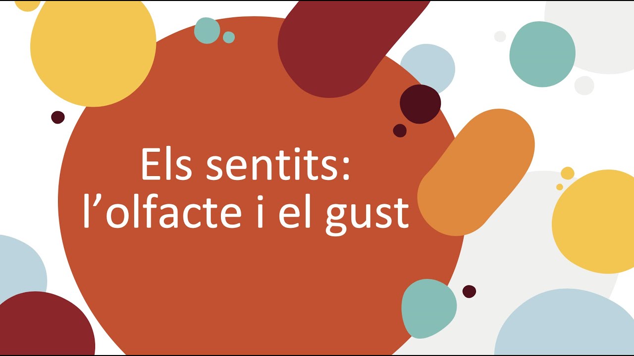 Els sentits 3 L'olfacte i gust