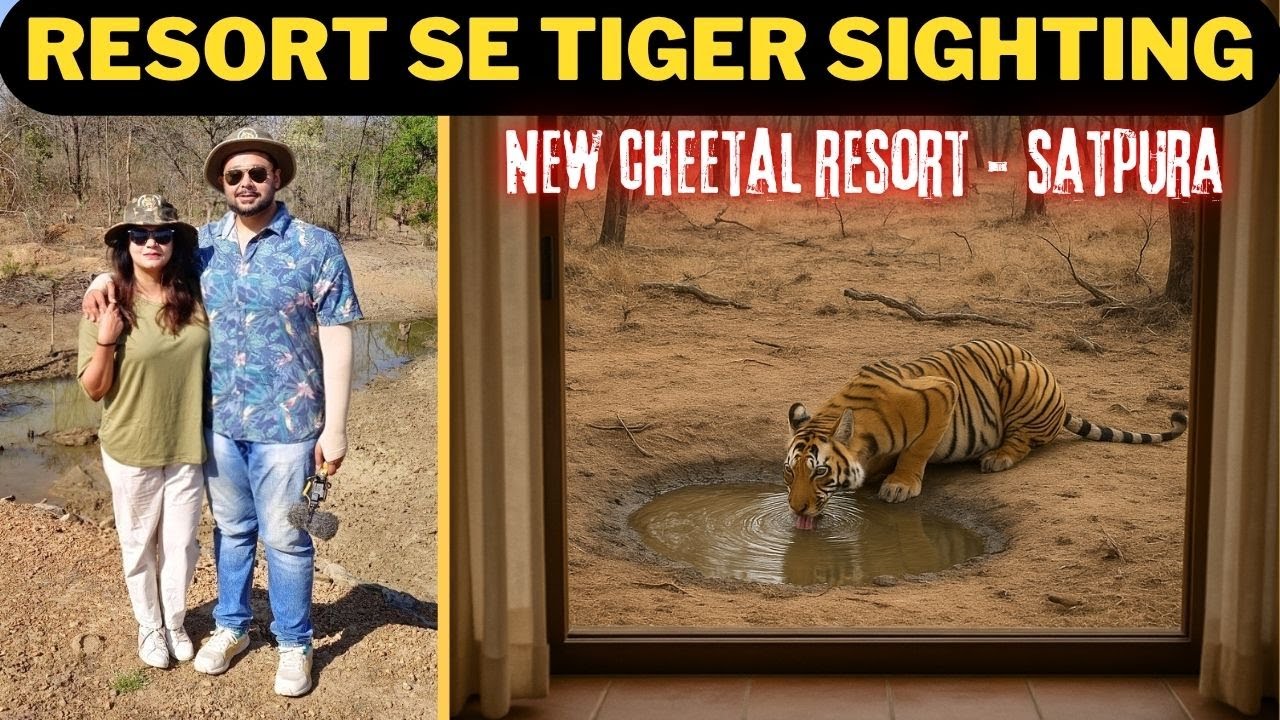 Satpura ka aisa Resort jaha apne Room se hi Tiger Sighting kar sakte ho | New Cheetal Resort