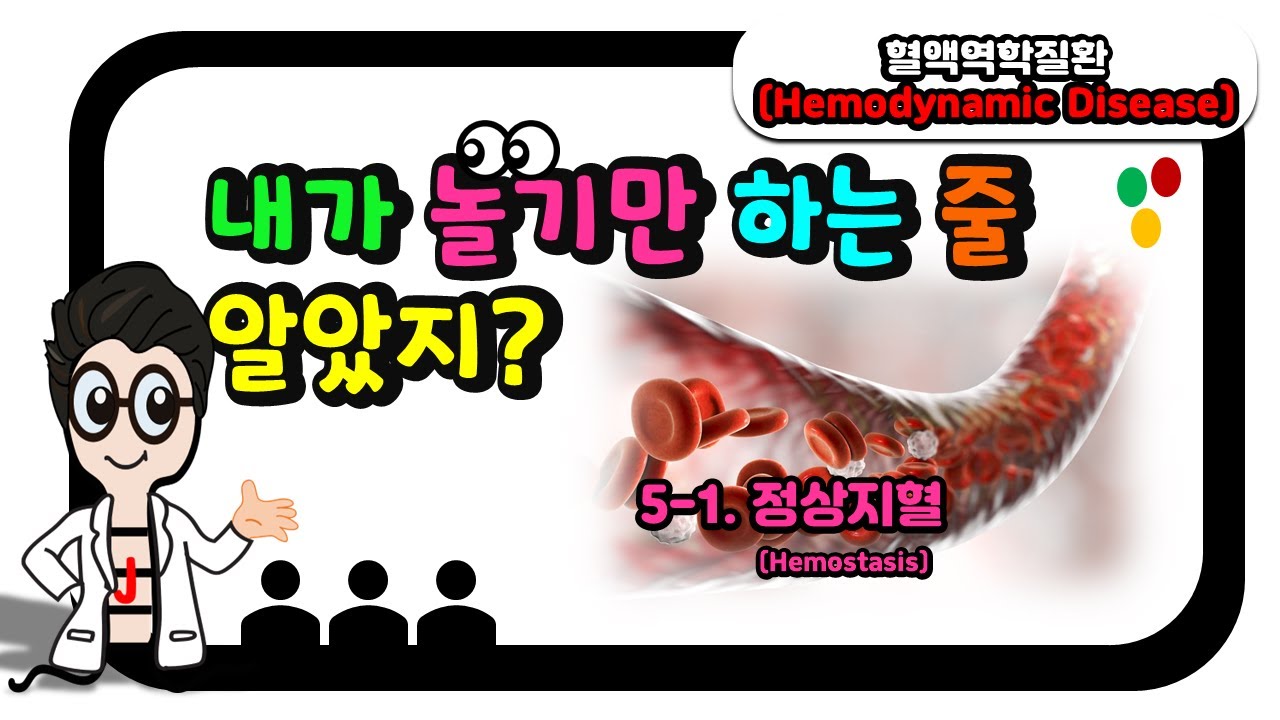 혈액역학질환(Hemodynamic Disease)_5-1_정상지혈(Hemostasis)
