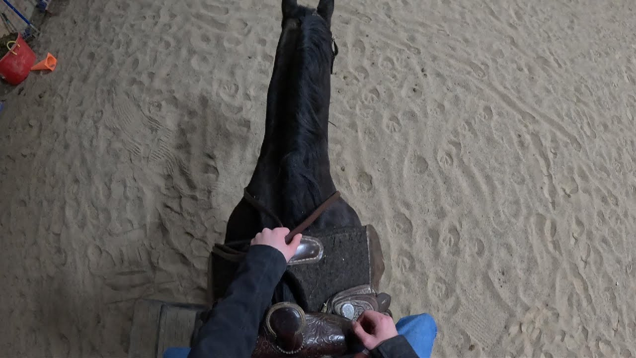Tack Up and Ride with Me!