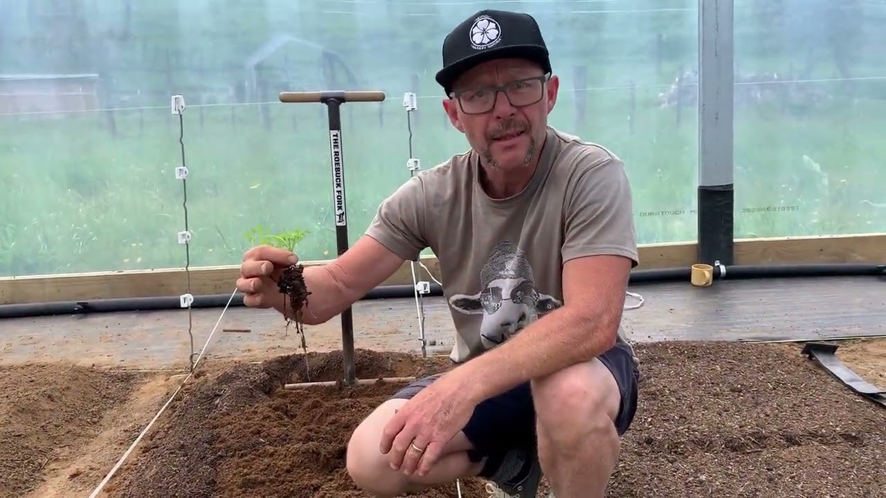 Developing new beds