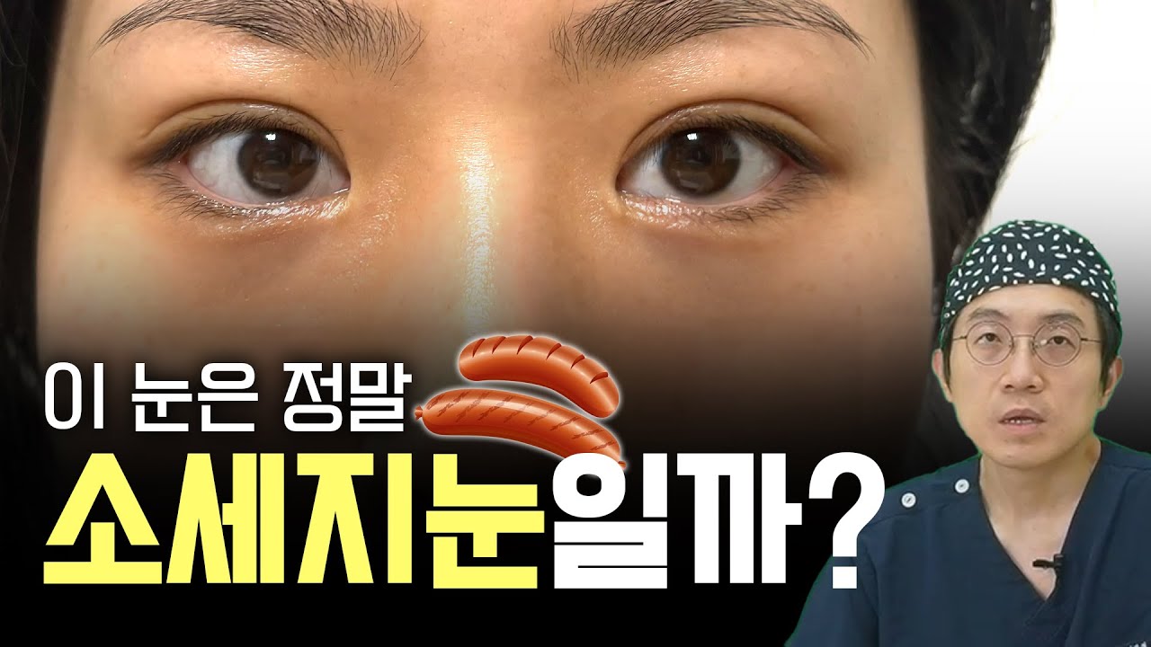 편집자 : 