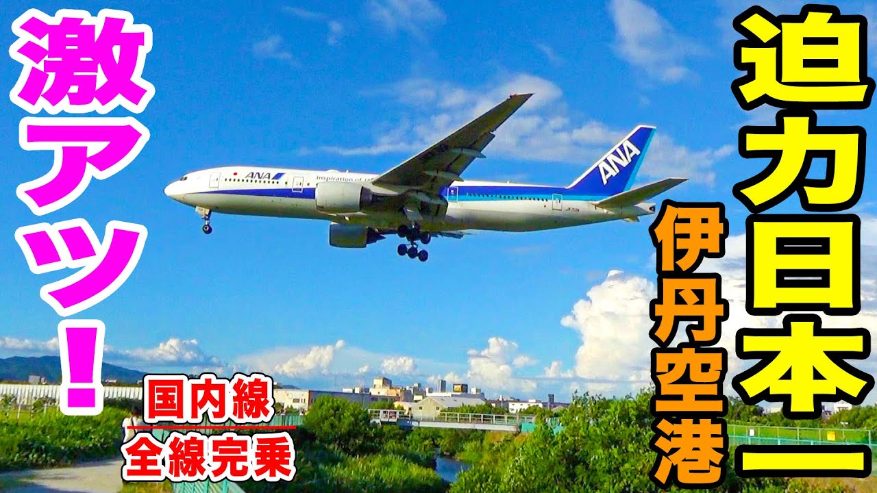 【日本一】伊丹空港の千里川土手で飛行機の着陸を望む！わずか30m頭上！迫力がやばすぎる！！発着機を実況解説。[国内線全路線制覇の旅 スピンオフ]