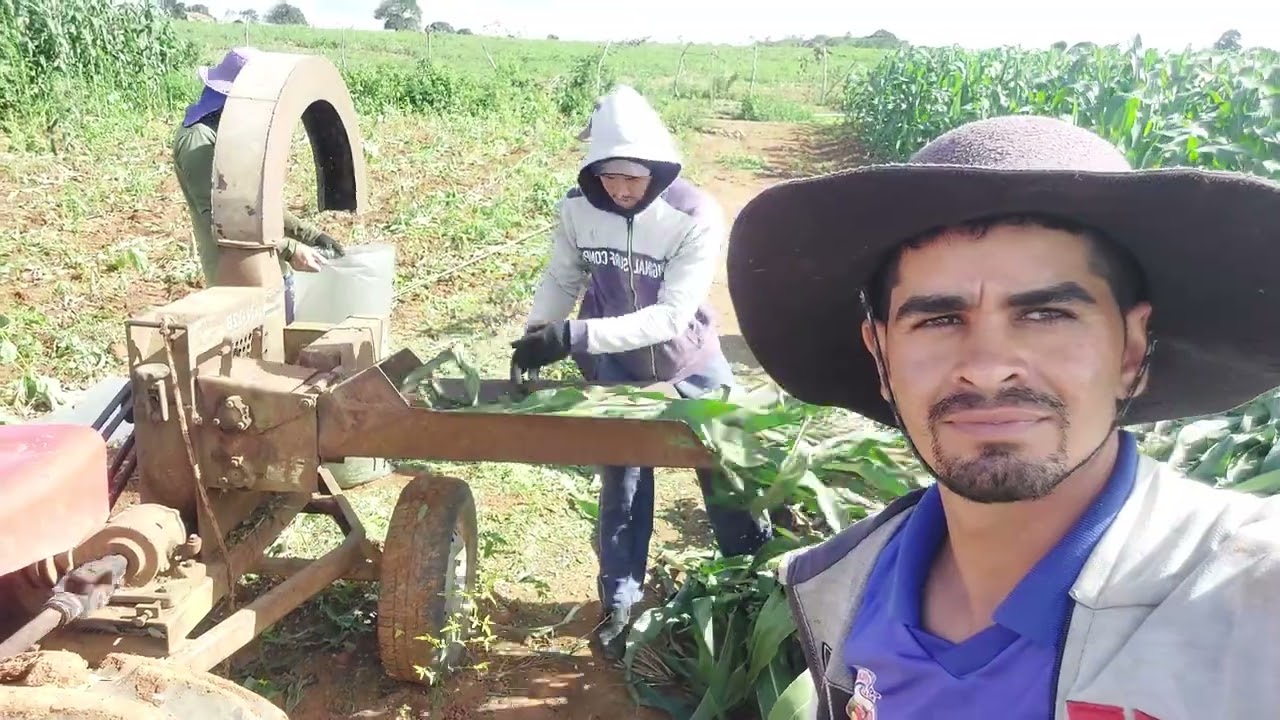 Mas uma silagem com o trator agrale 4300