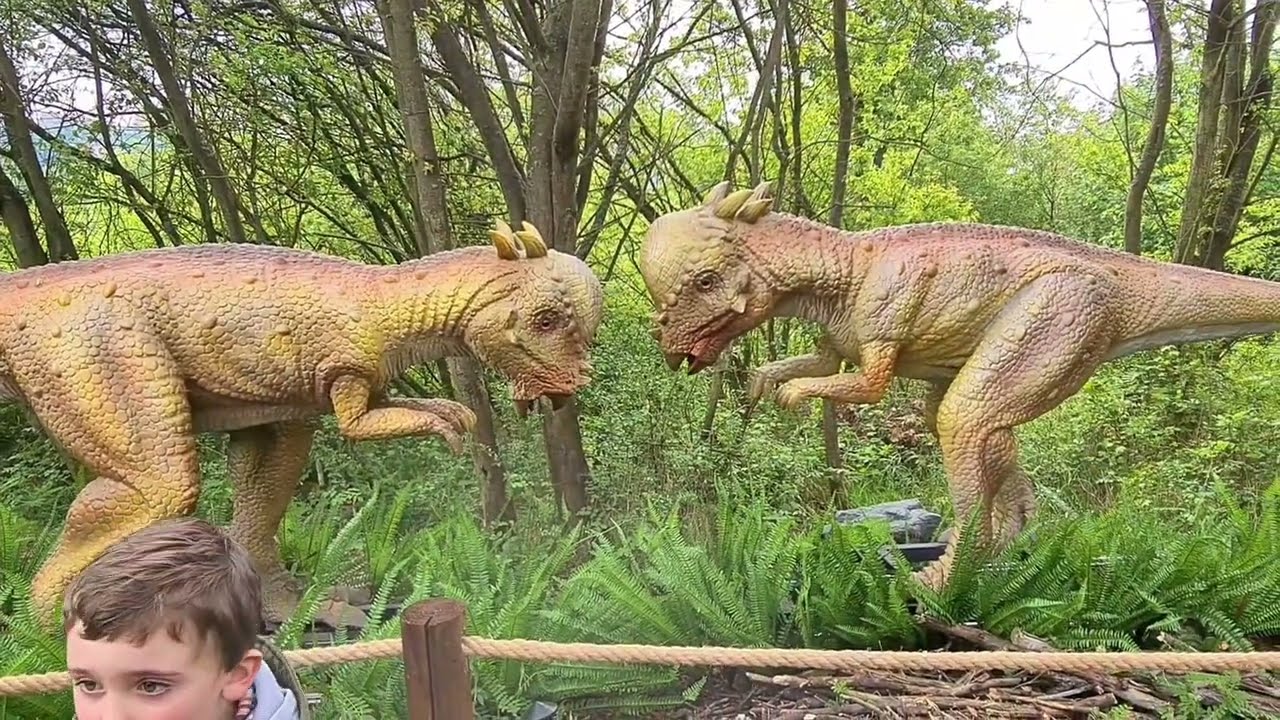 DinoPark DinoLive