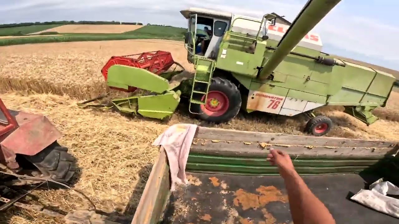 Traktoros Vlog:🌾Kormol a DT445🌾 Búza Hordás