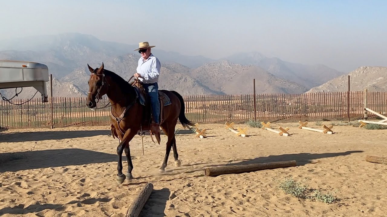 Transistioning Styx to a Western Bit - Pt 2