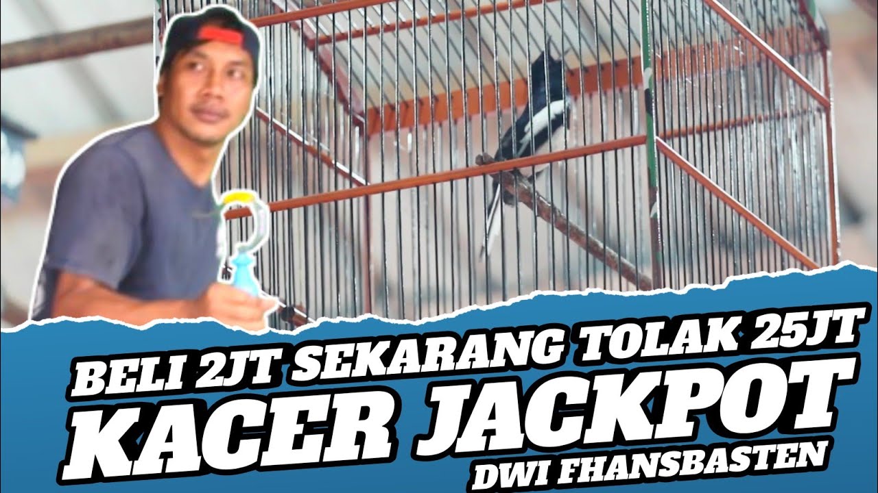REAL JACKPOT 🔥 KACER ISTIMEWA - KACER JUARA - CARA MERAWAT BURUNG KACER