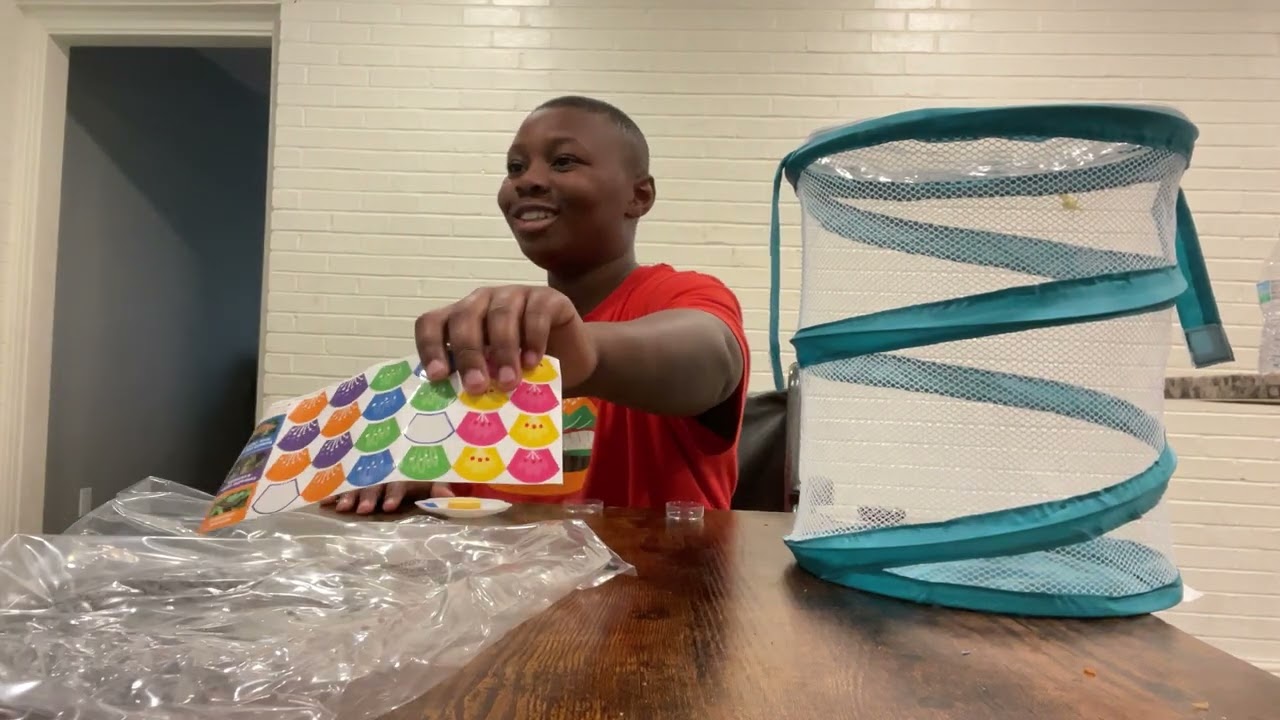 Unboxing of butterfly growing kit￼