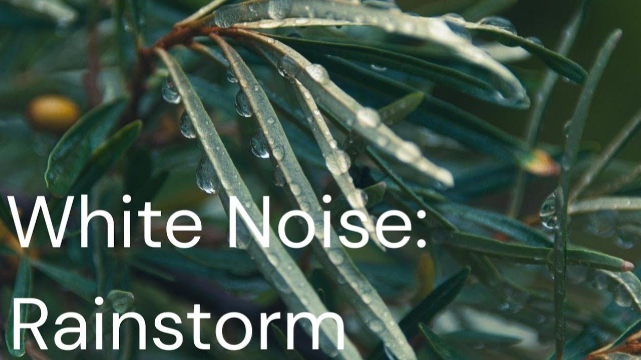 8 Hours Gentle Rain on Leaves & Forest Ambience | Deep Sleep White Noise | Relaxing