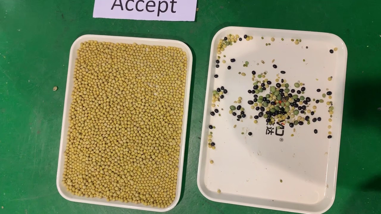 optical sorting machine for beans,AMD color sorter