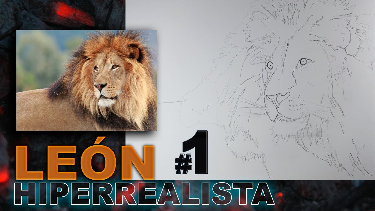 Cómo saber  que Lápices de  colores utilizar en un DIBUJO HIPERREALISTA?LEÓN HIPERREALISTA 1