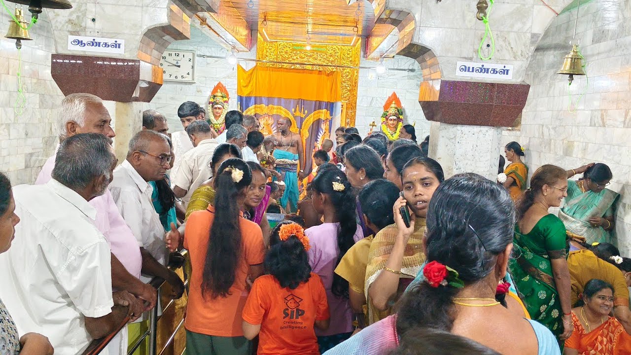 Namma Pallipalayam is live