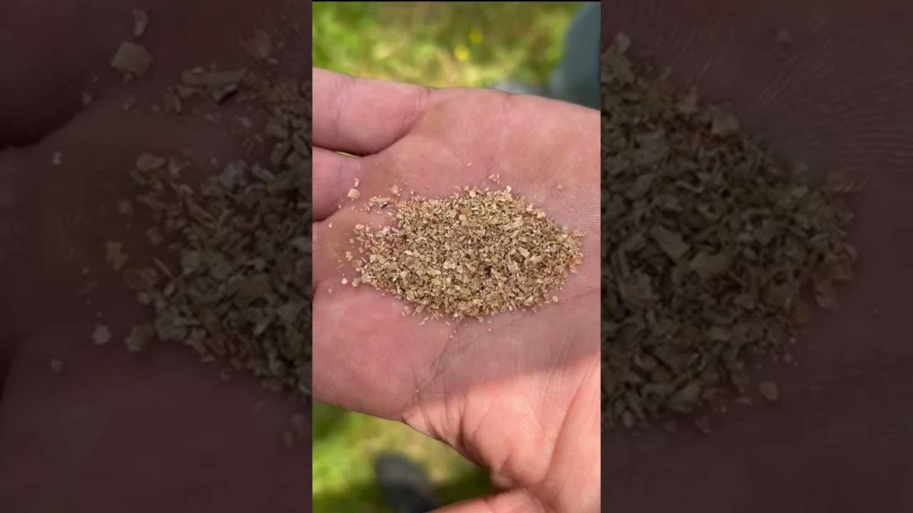 Fruitteelt | Uitzetten van roofmijten