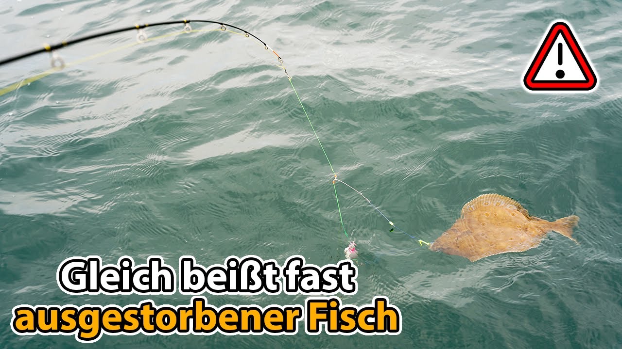 Plattfischangeln an der Ostsee - Der Weg zur vollen Truhe!!! (inkl. Catch and Cook)