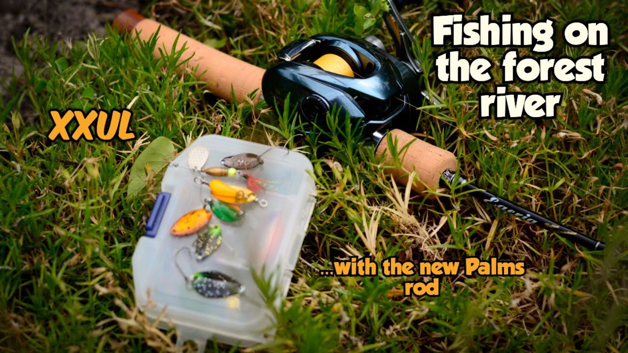 Forest creek fishing with the Palms Egeria Native XXUL rod