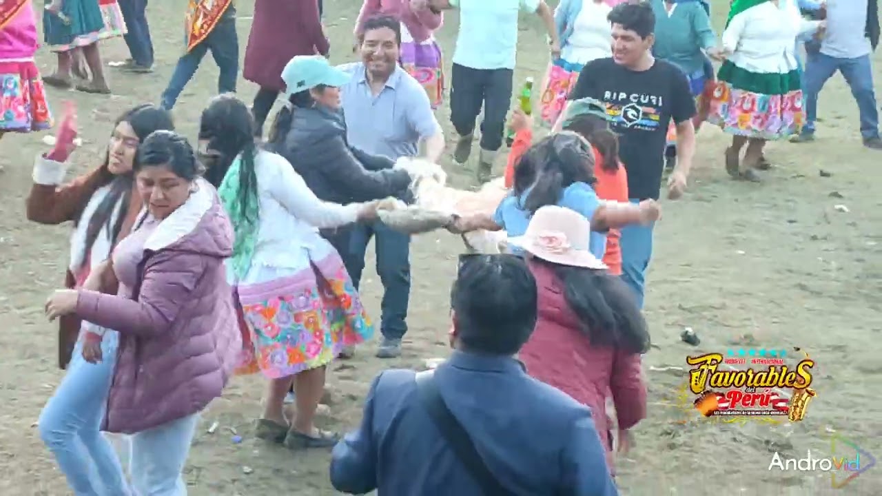 Aychacuchuy en honor ala Virgen de la Candelaria Huayllay Chico Lircay_ Angaraes  Huancavelica 2024