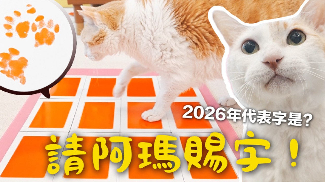 【黃阿瑪的後宮生活】請阿瑪賜字！2026年代表字是？