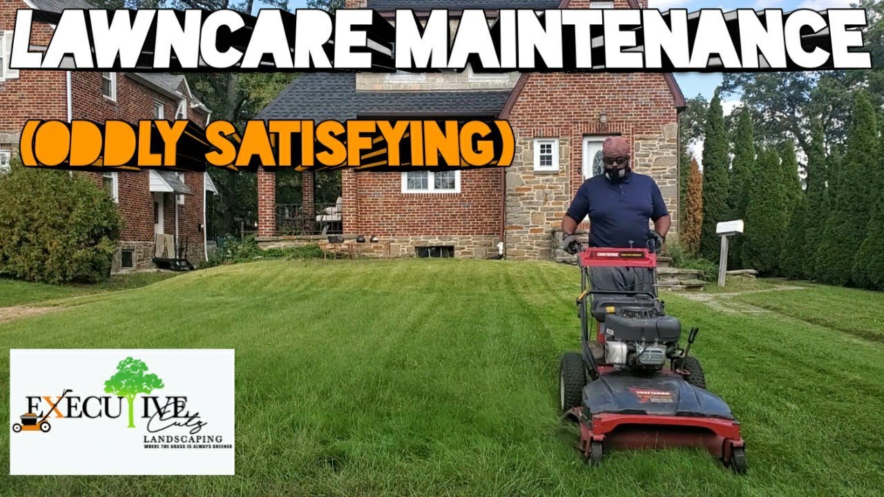 🍁🌱LAYING SOME STRIPES 🌲33 INCH MOWER 🍃🔥LAWNCARE MAINTENANCE 🤴🏾🧹 (ODDLY SATISFYING) 💪🏿💯 💆🏾‍♂️