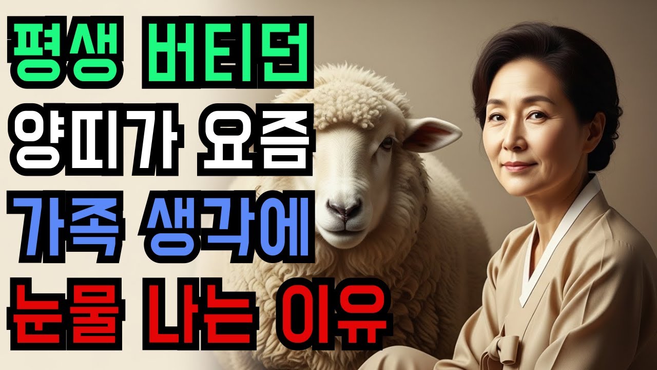 양띠, 요즘 가족이 더 소중해진 이유… 그냥 감정이 아닙니다