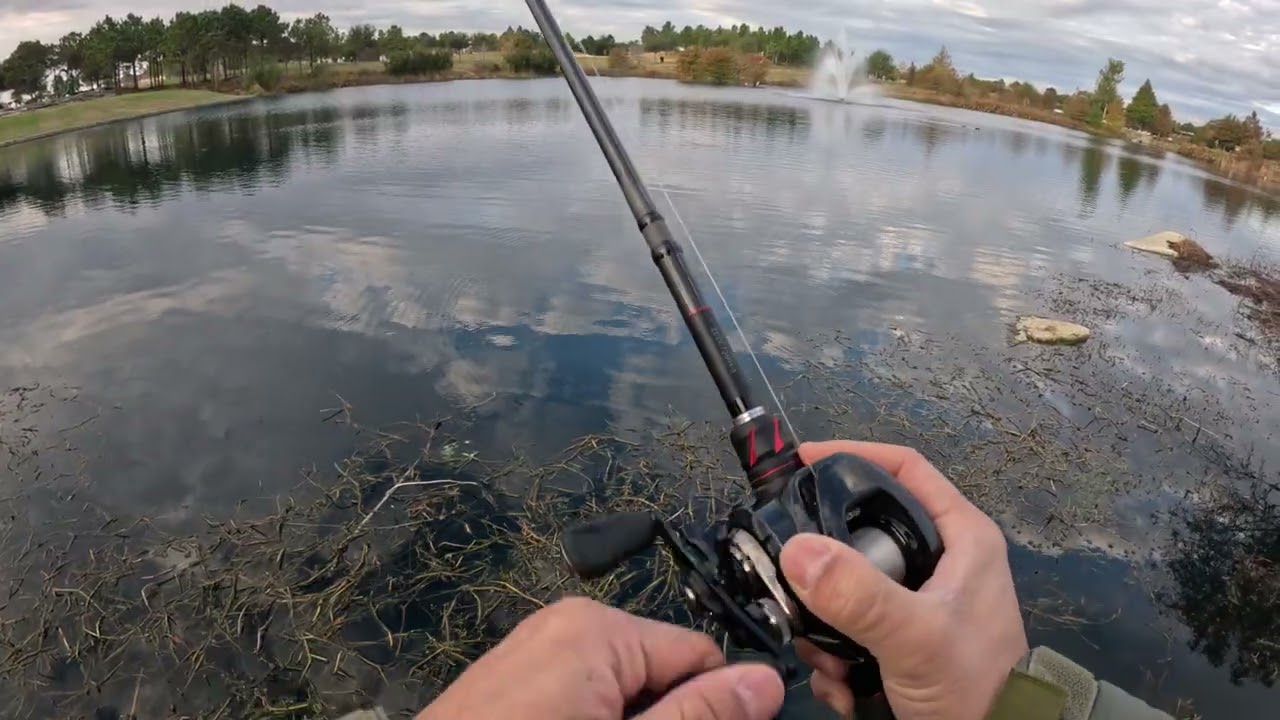 Bass Fishing in USA Creek after heavy rain, Largemouth bass smallmouth catfish alligator gar