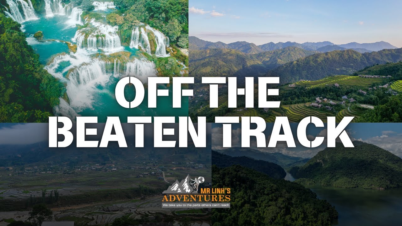 Beyond the Beaten Path: A Vietnamese Adventure