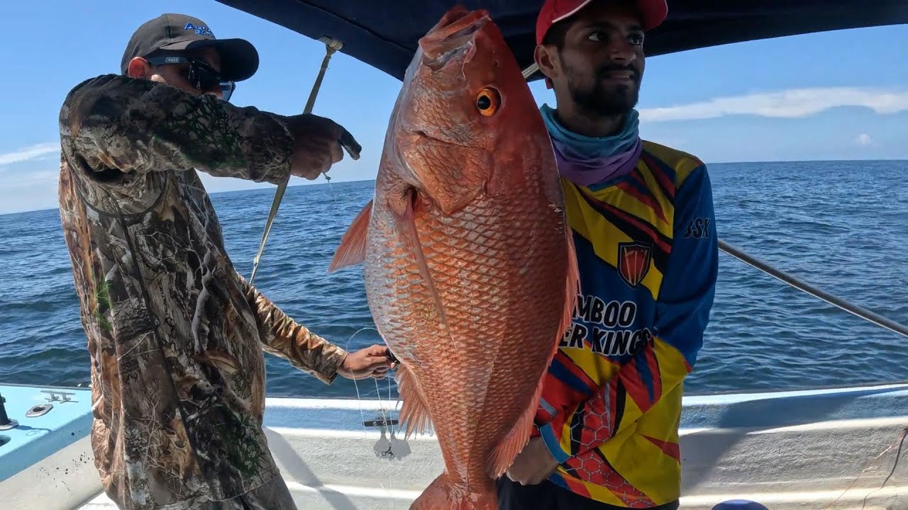 Mahi Mahi Fishing ! Hibiscus Rig Run, Trinidad.