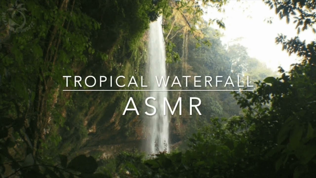 Tropical Rainforest 1 Hour ASMR Video - Background Noise White Noise Sleep Help Nature Sounds