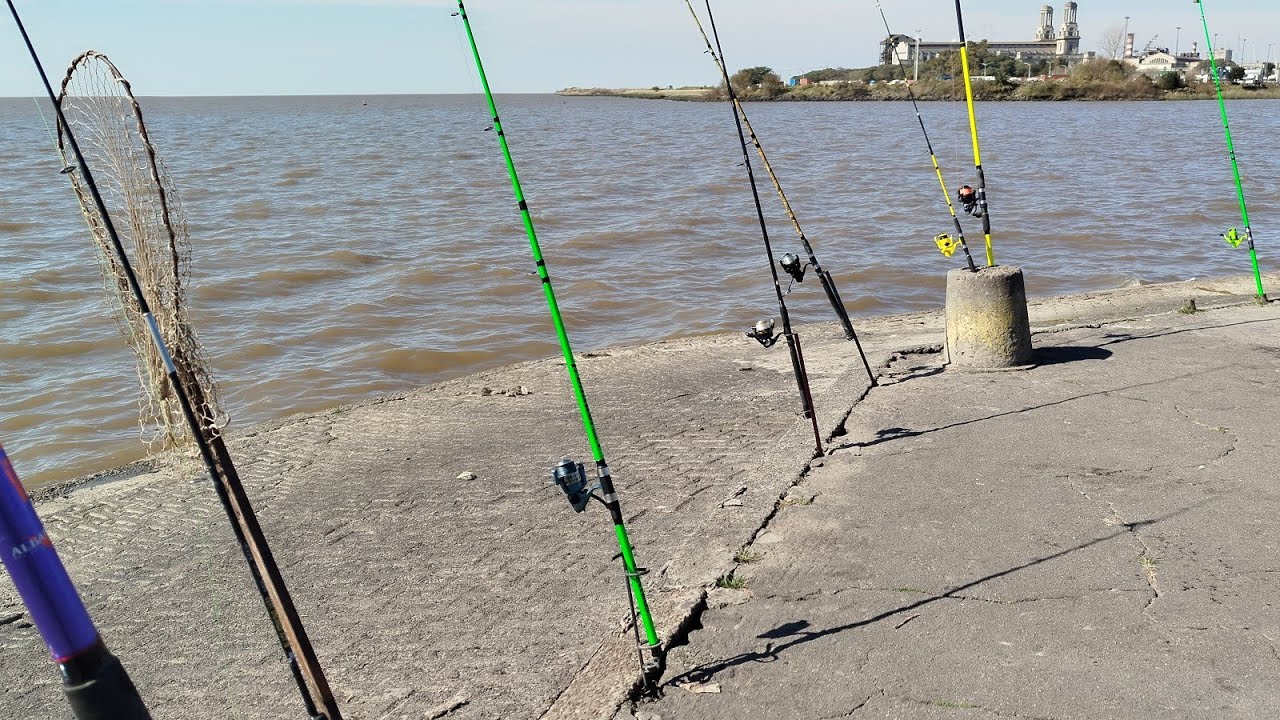 Lunes 11 de agosto Siguen saliendo los carpones  en Costa Salguero.