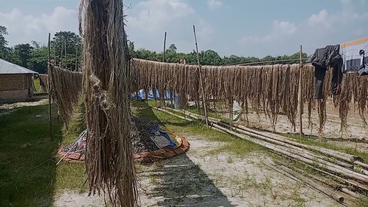 ചണനൂൽ ഉല്പാദനം /ചണനൂൽ ഉണ്ടാക്കുന്ന വിധം /Jute processing/Jute process step by step