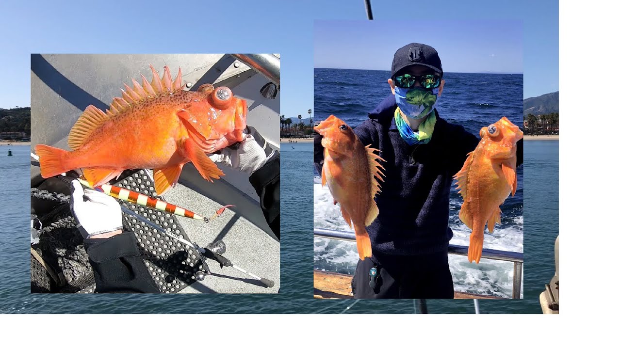 Slow Pitch Jigging  | Temple Reef Innovate | California Rockfish | Deep Water  | EP2