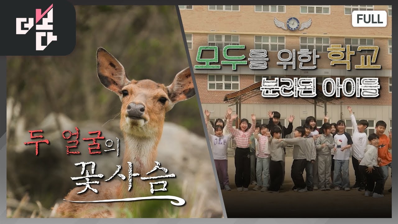 두 얼굴의 꽃사슴 / 모두를 위한 학교 - 분리된 아이들 | 더 보다 60회 (2025.6.1.)