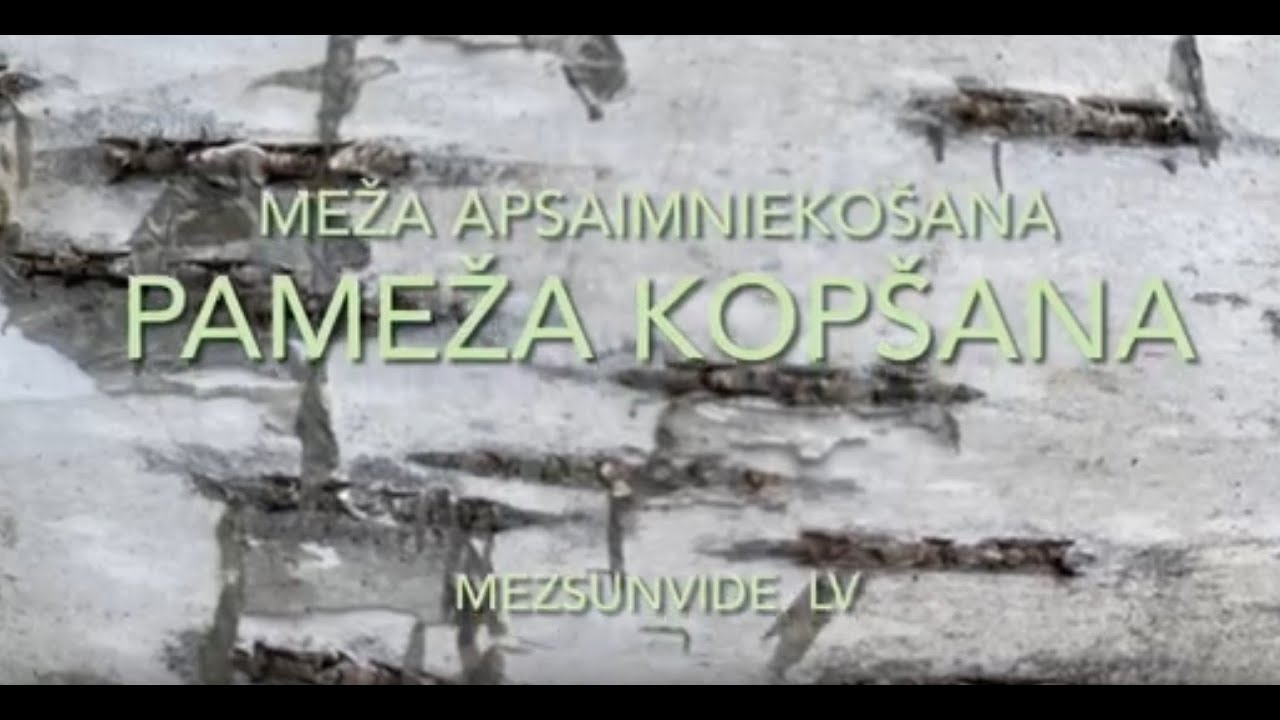 PAMEŽA kopšana