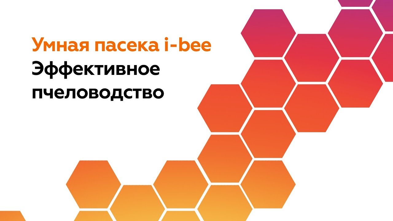 Успешное пчеловодство — умная пасека i-bee