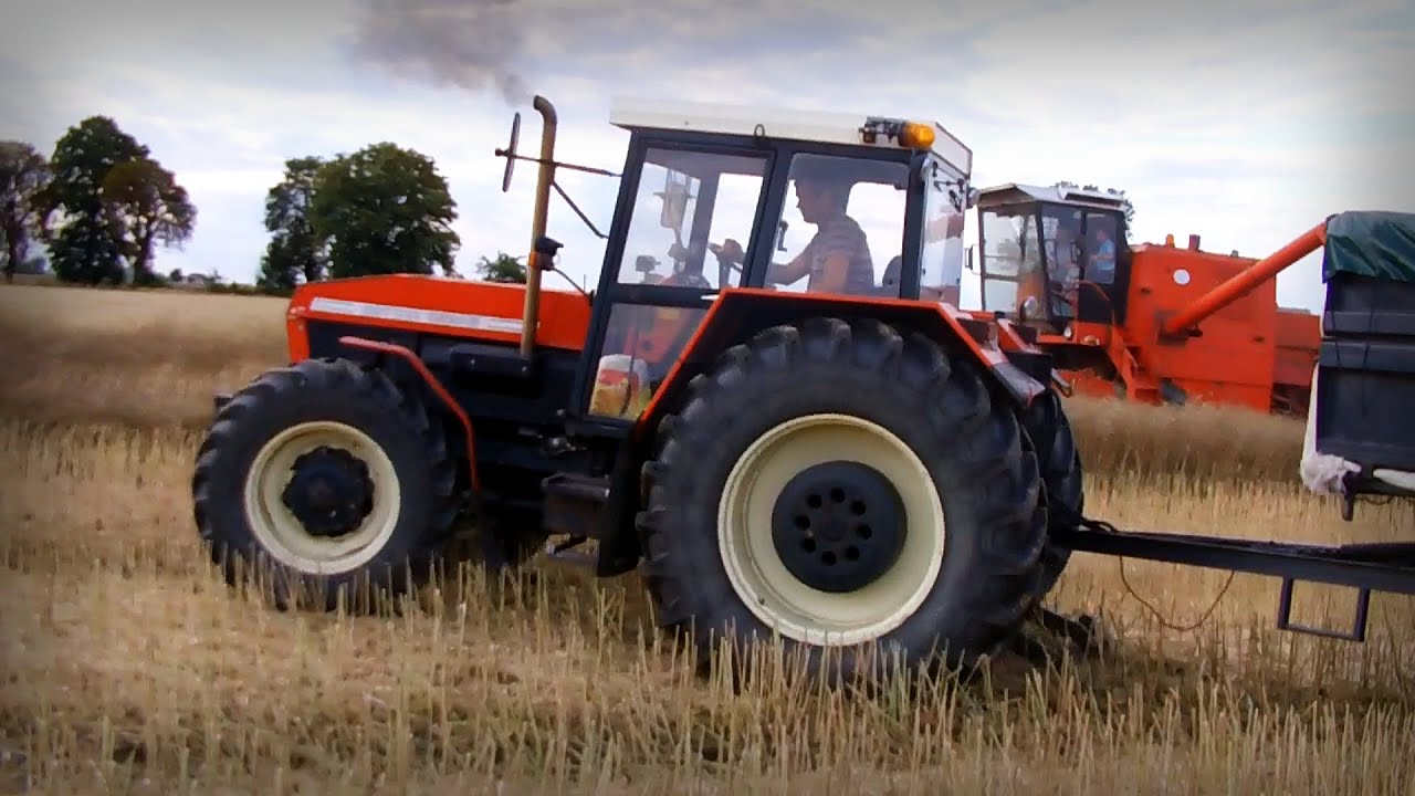 Żniwa ! Rzepak 2015 - Zetor 16245 POWER ! & Zetor 5245 vs Bizon Z056 !