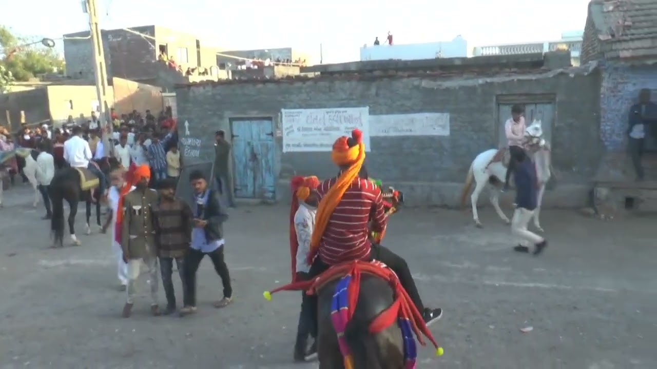 #kathiawadihorse  #shortsviral#shortvideos #viral#viralvideos#horseriding #fuleku#trending❣️ laxmi❣️