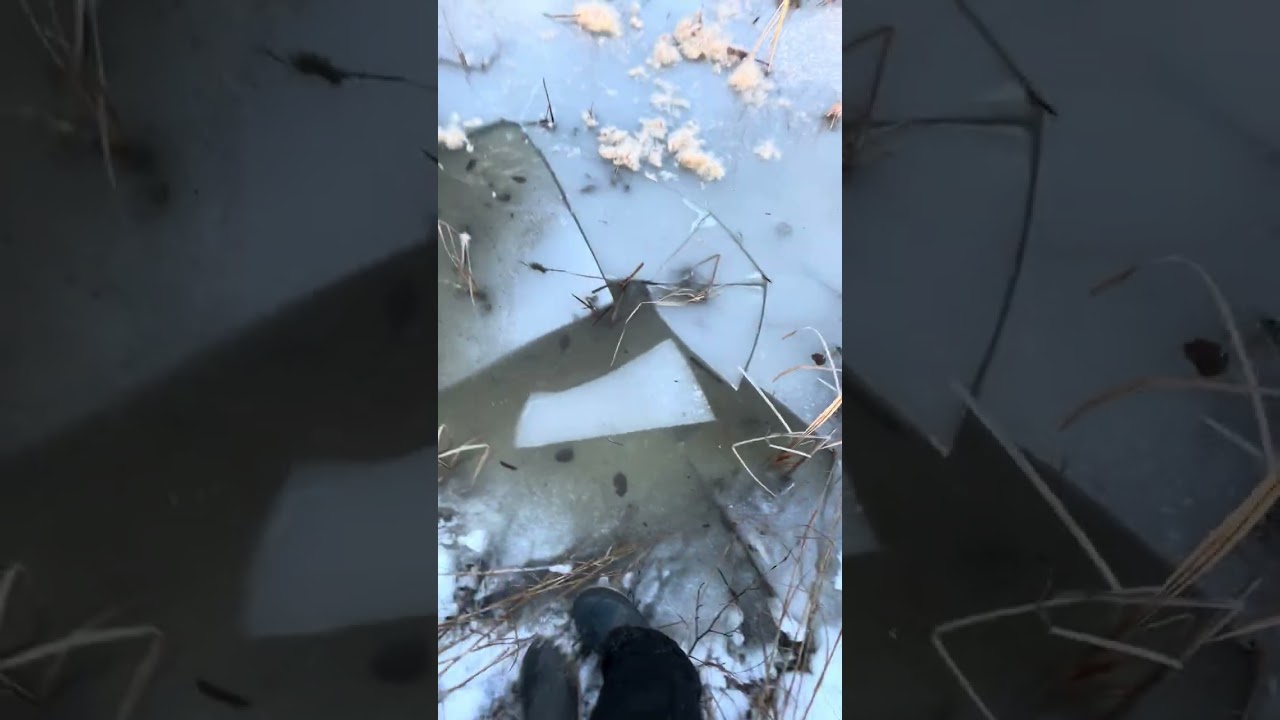 Me and my friend just having fun outside 