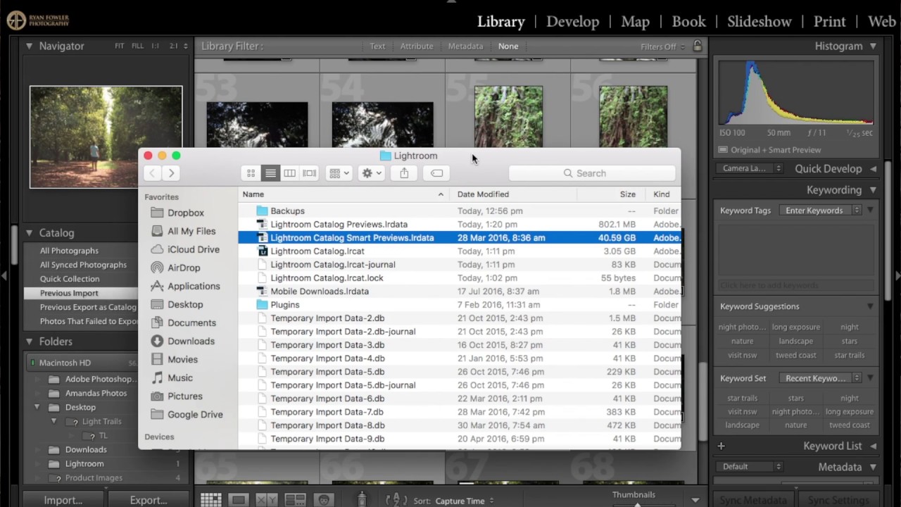 Как удалить смарт-предварительный просмотр в Lightroom