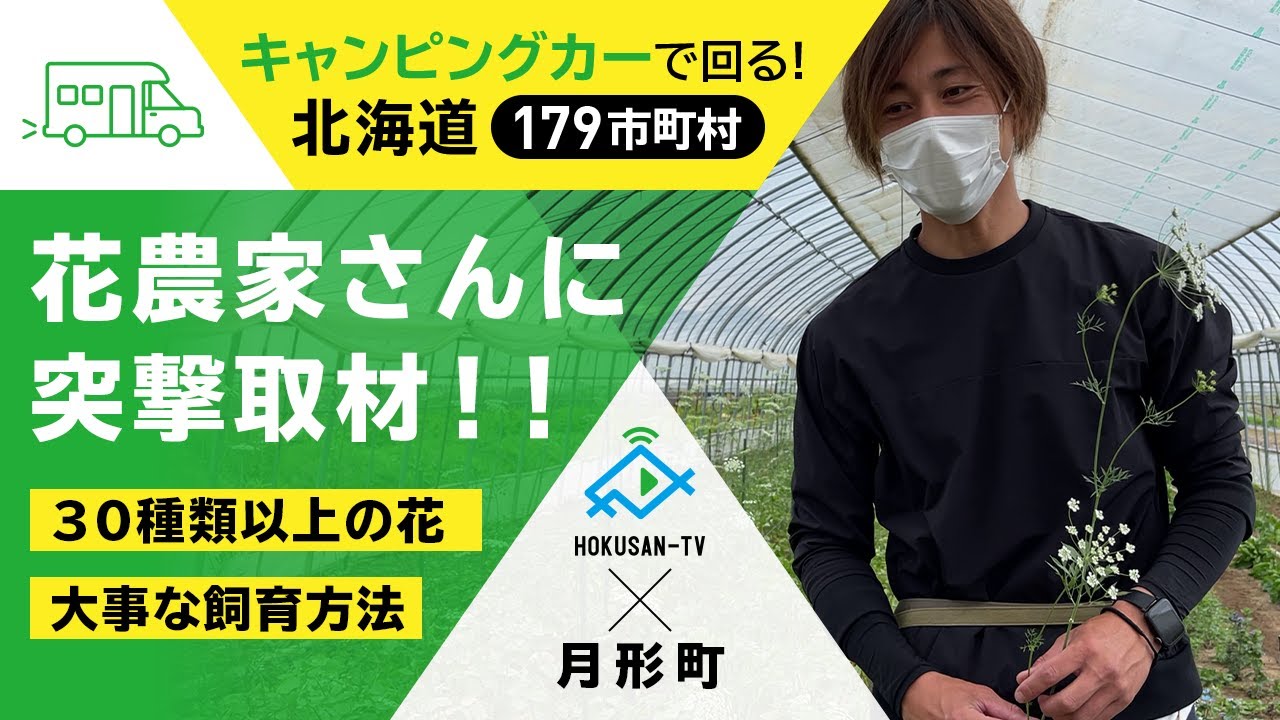 【月形町】30種類以上の花と10万本以上のカーネーションを育てる花農家さんに突撃取材します‼～北海道キャンピングカー冒険 88/179市町村