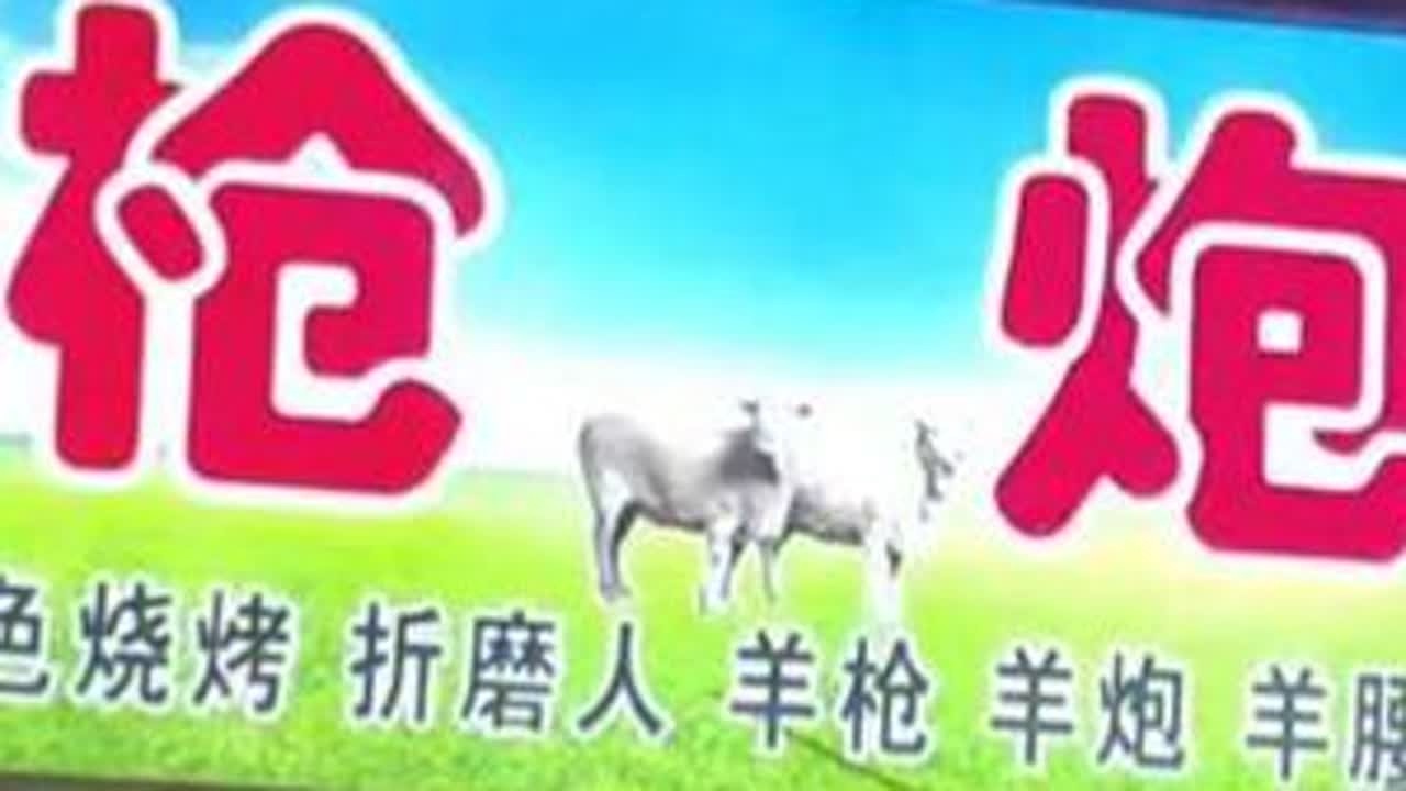 抚顺望花海城枪炮店，吃的牛欢喜、蓝仙子、防弹衣、折磨人、弹头、腰子，感觉没啥效果，大家都知道这些是什么部位吗？#抚顺东北第一亚瑟 #抚顺望花 #抚顺海城街 #抚顺一职专 #东北第一亚瑟