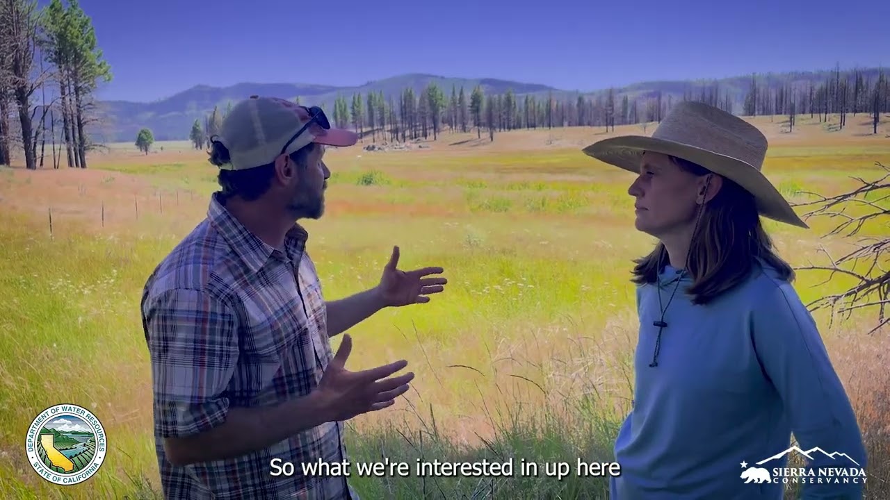 In the field in the Upper Feather River watershed