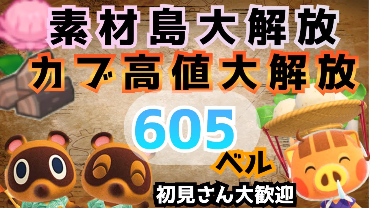 【あつ森実況】サムネは違うけど！！カブ価605ベル解放中！参加型！【初見さん歓迎！】