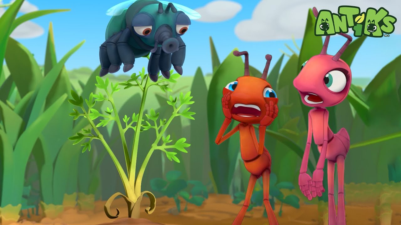 Growing a Seed Isn’t Easy! Patience Pays Off! | Antiks | Kids Cartoons | Tiny Dance Club