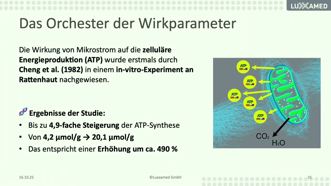 Mikrostrom verstehen: Spannung, Gewebeimpedanz, ATP und die „Sprache der Zelle“ (Seminar-Ausschnitt)