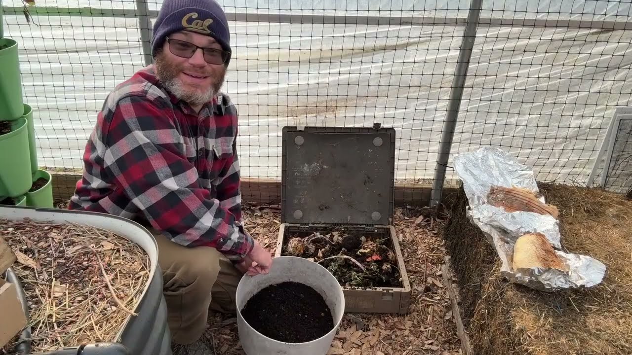 Harvesting worm castings