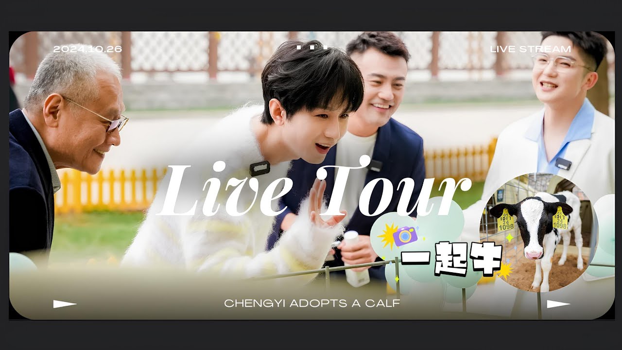 【241026】【成毅 ChengYi】Purjoy Live Tour｜ 谁还没有见过我们“毅淇牛”一起牛！成毅老师太可爱了叭 ​​​ ChengYi adopts a calf