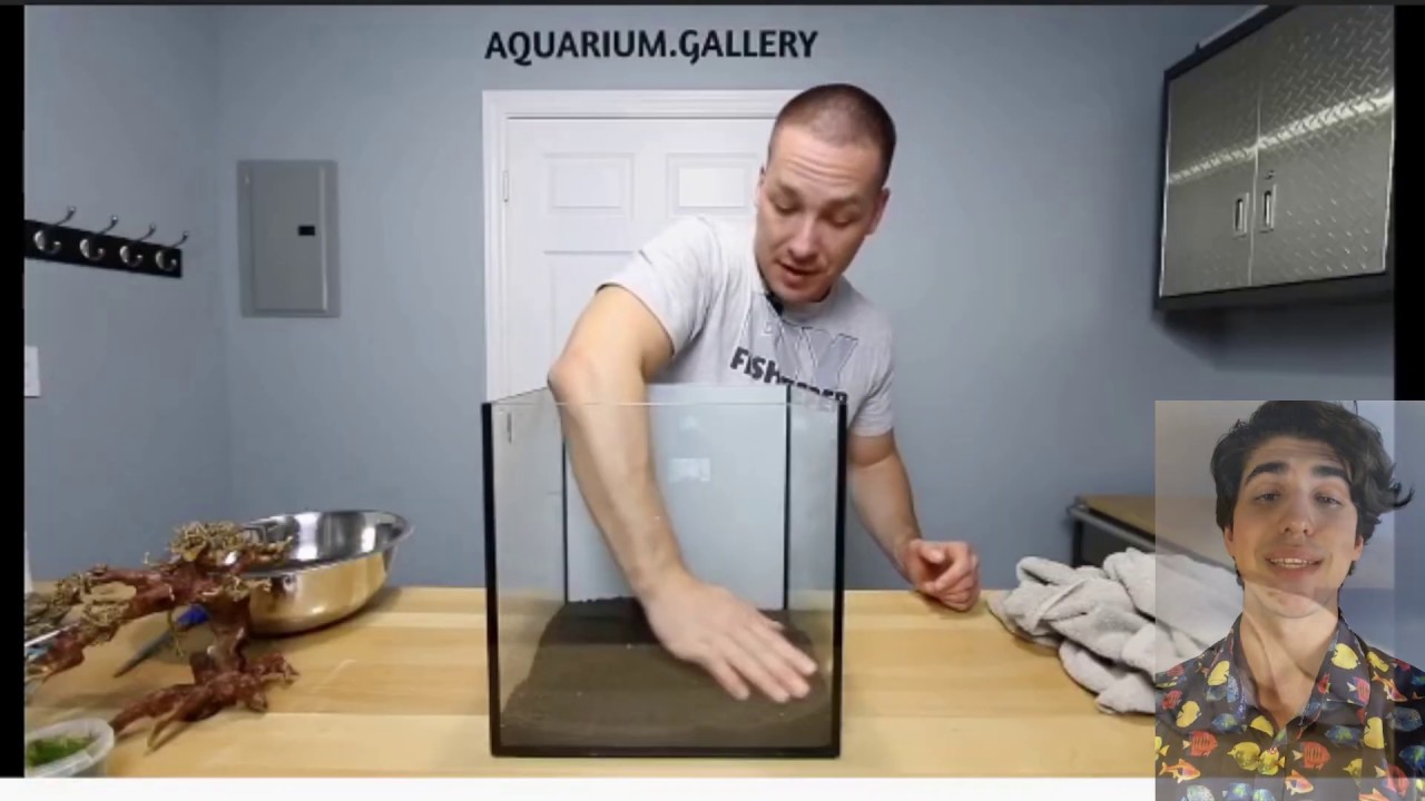 DIY Aquarist and YouTuber from Nova Scotia (Canada): King of DIY