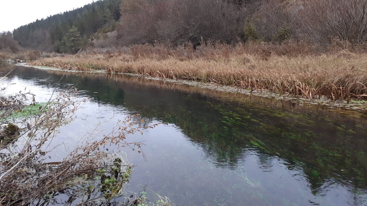ČISTA PRIRODA - RIJEKA BIOŠTICA